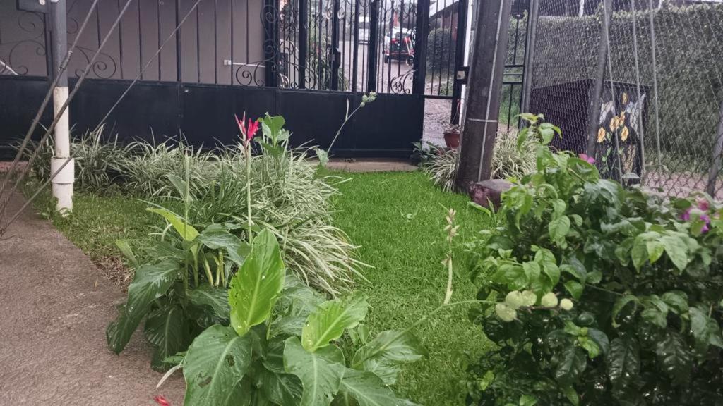 Monteverde Guesthouse Екстериор снимка